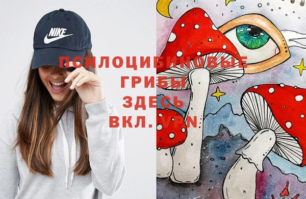 герыч Куйбышев